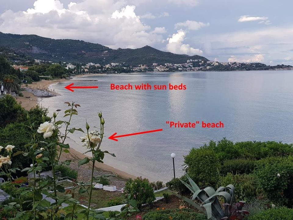 Evaliana Seaside Apartment PalaiónTsiflíkion 外观 照片