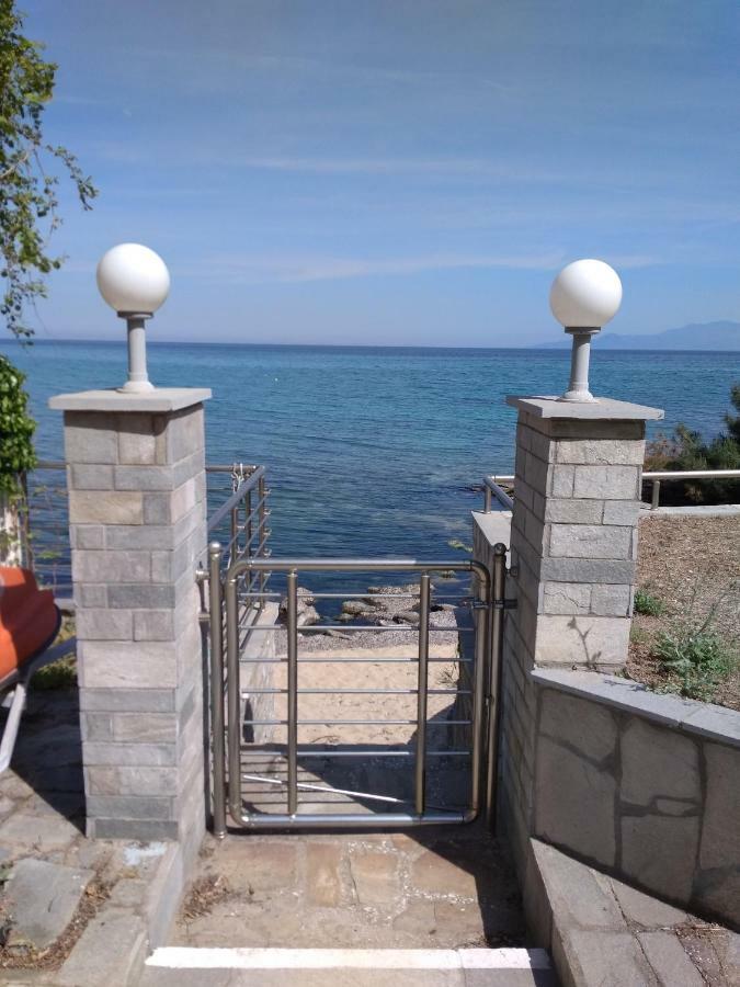 Evaliana Seaside Apartment PalaiónTsiflíkion 外观 照片