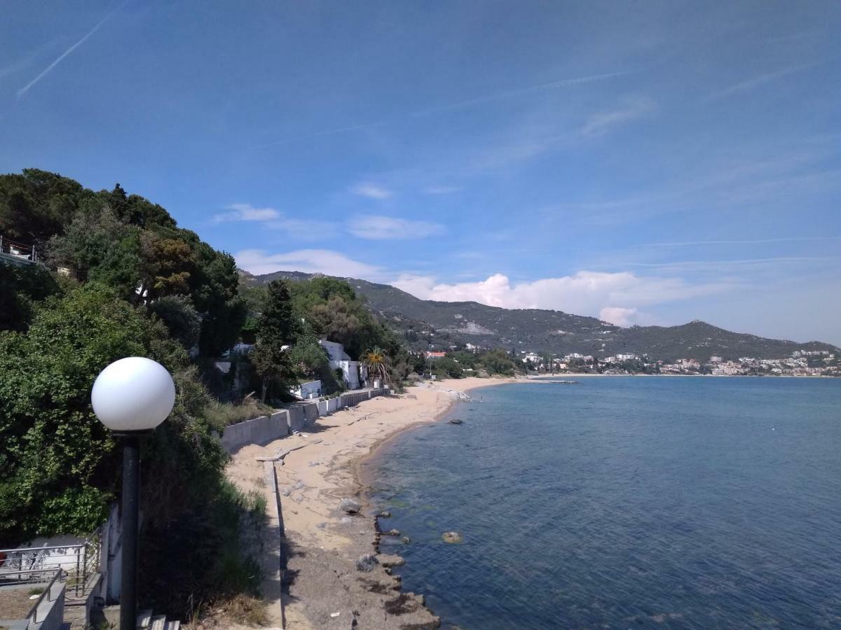 Evaliana Seaside Apartment PalaiónTsiflíkion 外观 照片